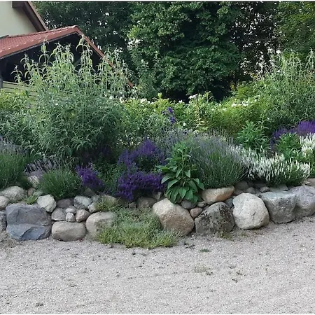 Schliep Comfortable